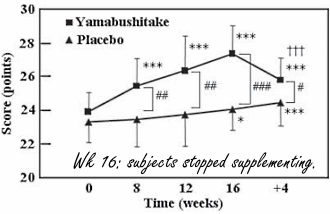 Human study: Yambushitake is a brain booster